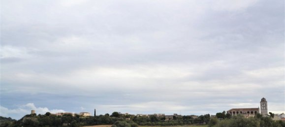 Grundstück in Muro, Spain 771m², Nr. 92196 3