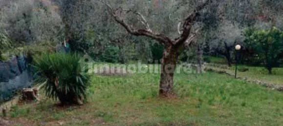 3 غرف نوم فيلا في Fara in Sabina, Italy رقم 342509 10