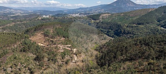 Дом с 1 спальней в Селорику ди Башту, Португалия № 68155 21