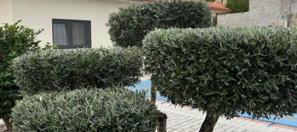 3 Schlafzimmer Haus in Vila Real, Portugal, Nr. 127231 17