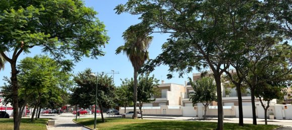 Bungalow T3 em Pilar de la Horadada, Spain N.º 16567 9