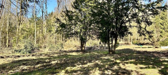 16-salle Maison à Sankt Wendel, Germany No. 18908 10