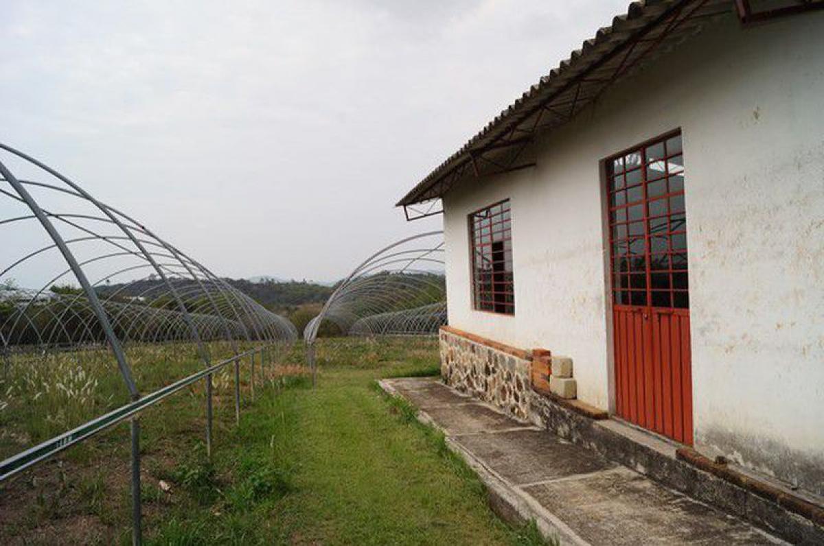  Land in Zumpahuacan, Mexico No. 202678