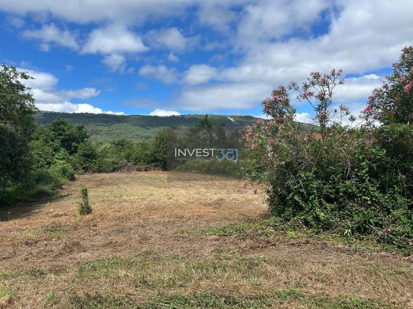  قطعة أرض في Vila Nova de Cerveira, Portugal 5000متر مربع رقم 249768