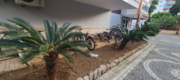 3 rooms Apartment in Tosmur, Turkey No. 23016 20