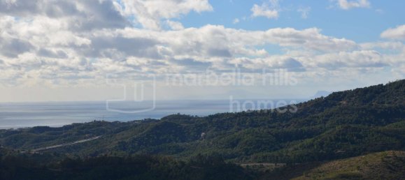 4 bedrooms Villa in Malaga, Spain No. 121297 26