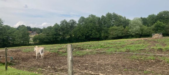 8 bedrooms House in Sancerre, France No. 252620 10