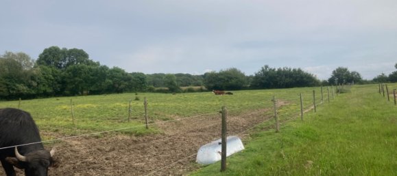 8 bedrooms House in Sancerre, France No. 252620 8