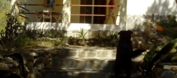 6 bedrooms House in El Vendrell, Spain No. 246 20