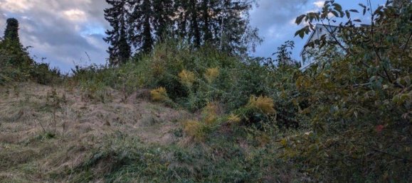  Land in Stattegg, Austria No. 155674 8