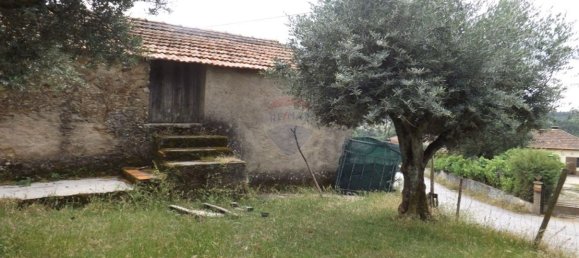 1 Schlafzimmer Haus in Beco, Portugal, Nr. 26331 9