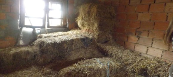 1 Schlafzimmer Haus in Beco, Portugal, Nr. 26331 17