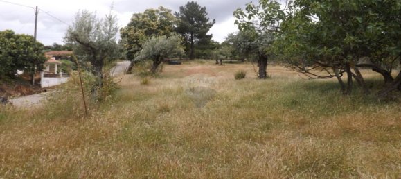 1 Schlafzimmer Haus in Beco, Portugal, Nr. 26331 8