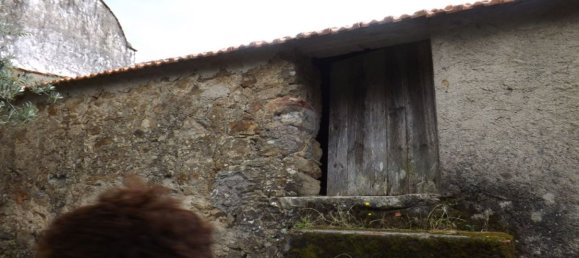 1 Schlafzimmer Haus in Beco, Portugal, Nr. 26331 13