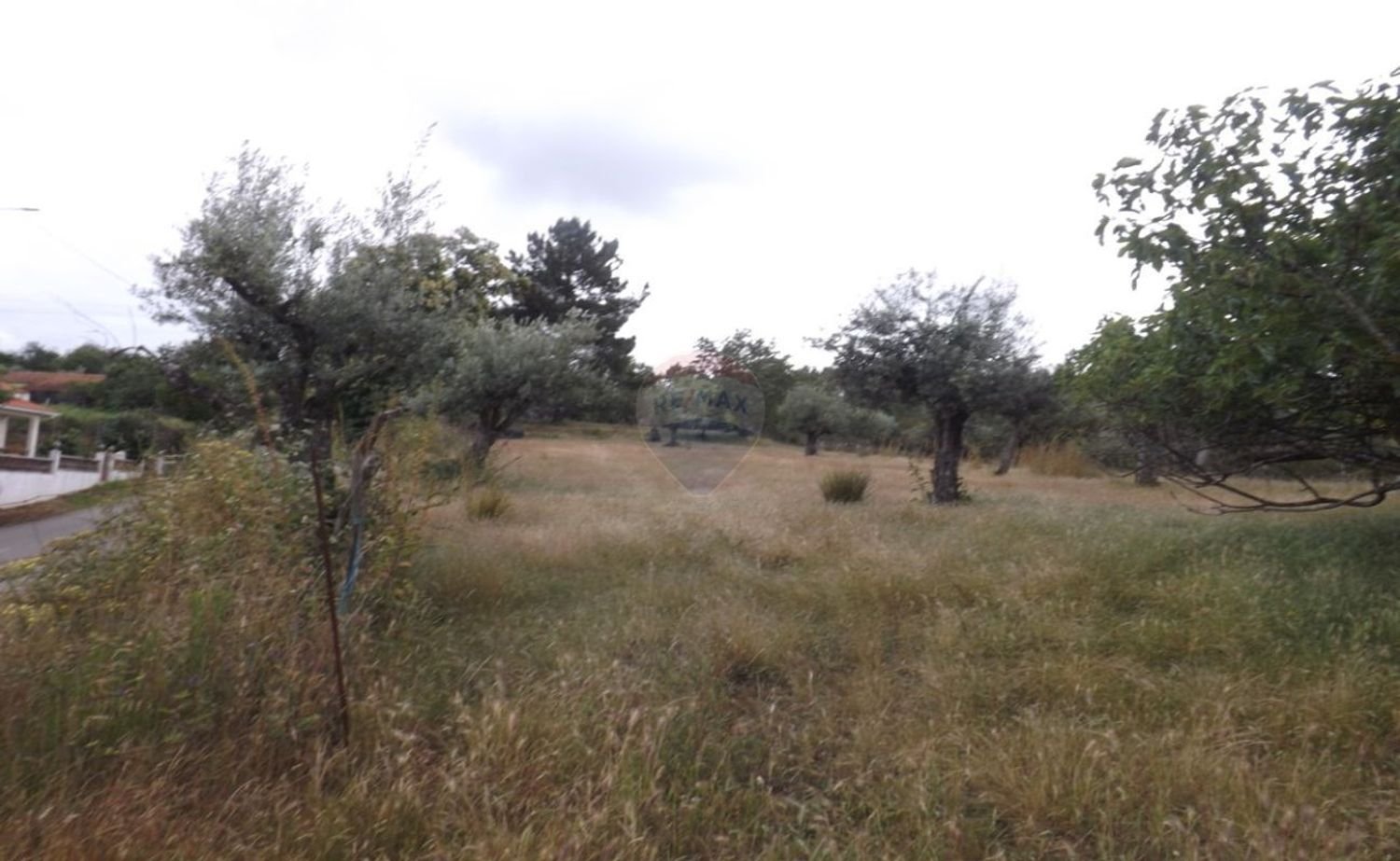 1 Schlafzimmer Haus in Beco, Portugal, Nr. 26331