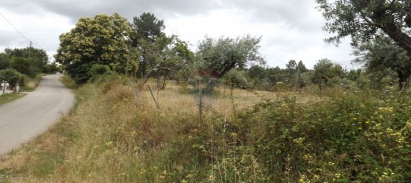 1 Schlafzimmer Haus in Beco, Portugal, Nr. 26331 34