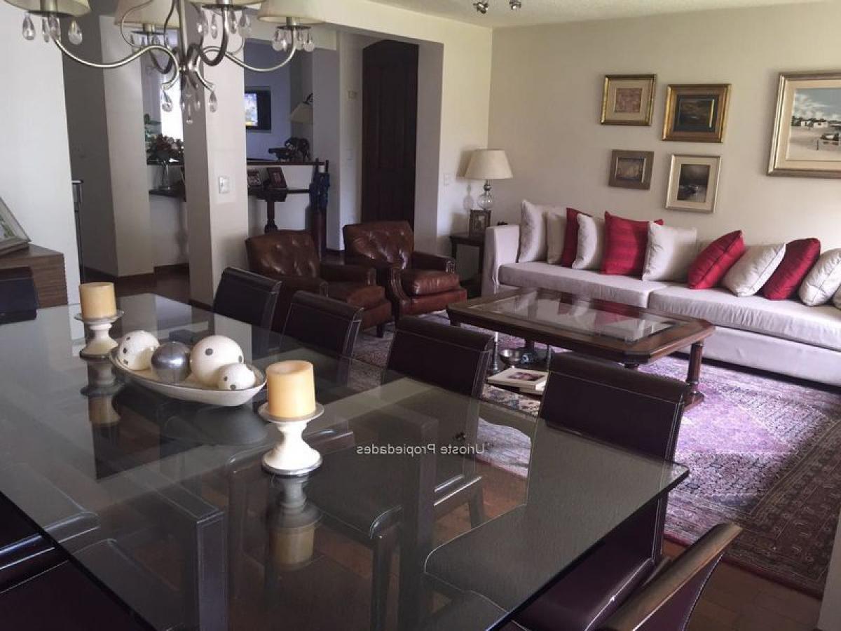 4 Schlafzimmer Haus in Montevideo, Uruguay, Nr. 11328