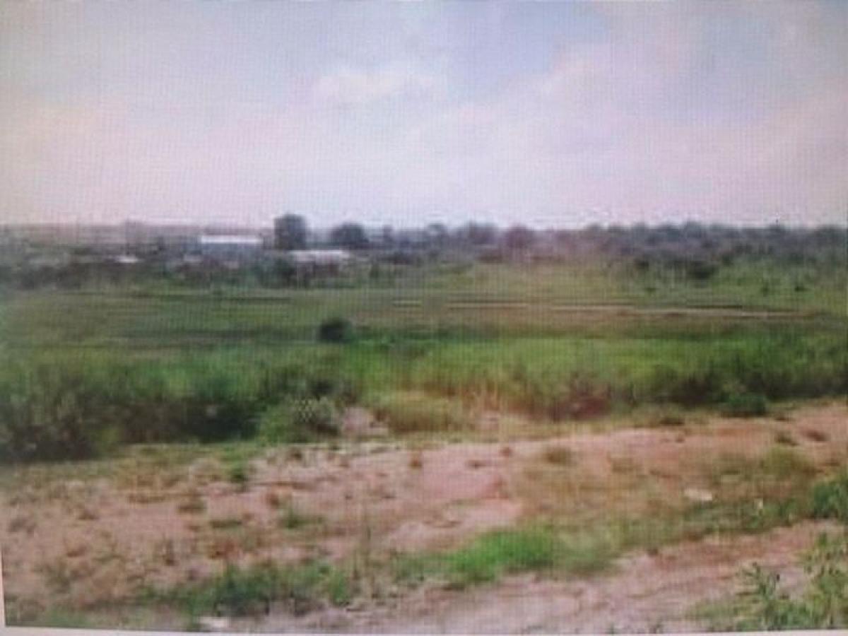  Land in Ciudad Lopez Mateos, Mexico No. 204665