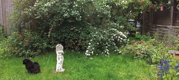 Casa de 4 dormitorios en Pinneberg, Germany No. 322101 21