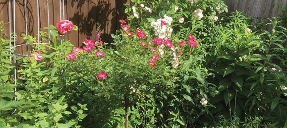 Casa de 4 dormitorios en Pinneberg, Germany No. 322101 19