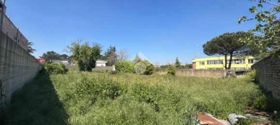  قطعة أرض في Casandrino, Italy رقم 376797 2