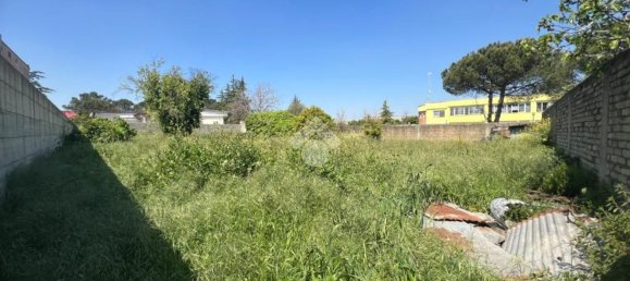  قطعة أرض في Casandrino, Italy رقم 376797 4