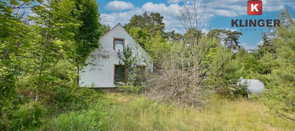 Terrain à Potsdam-Mittelmark, Germany No. 301722 5