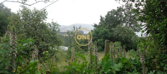 Casa de 5 dormitorios en Vila Nova de Famalicao, Portugal No. 54937 29