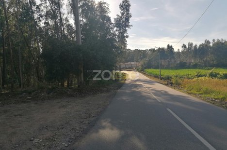 25000m² Land in Vila Nova de Famalicao, Portugal No. 83477