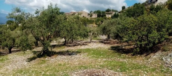  قطعة أرض في Castelmola, Italy 8150متر مربع رقم 73191 13