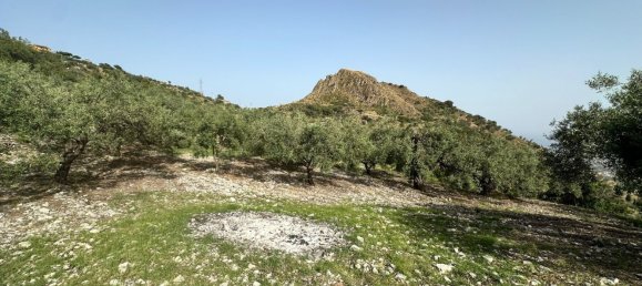  قطعة أرض في Castelmola, Italy 8150متر مربع رقم 73191 27