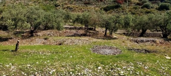  قطعة أرض في Castelmola, Italy 8150متر مربع رقم 73191 35