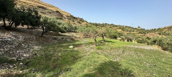  قطعة أرض في Castelmola, Italy 8150متر مربع رقم 73191 36