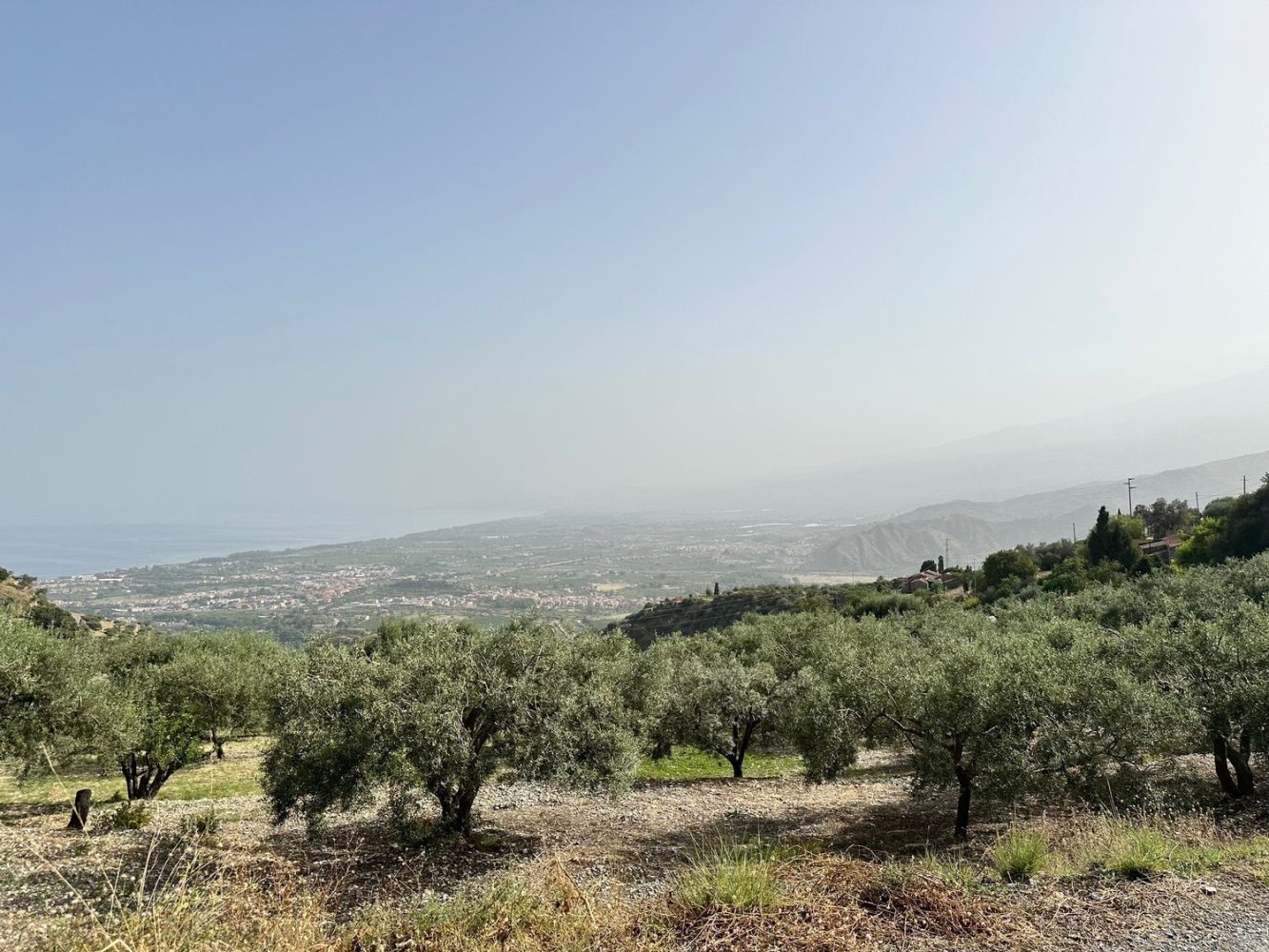  قطعة أرض في Castelmola, Italy 8150متر مربع رقم 73191