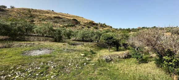  قطعة أرض في Castelmola, Italy 8150متر مربع رقم 73191 24