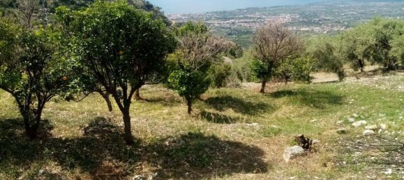  قطعة أرض في Castelmola, Italy 8150متر مربع رقم 73191 5