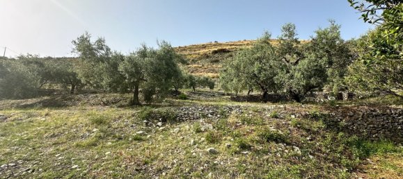  قطعة أرض في Castelmola, Italy 8150متر مربع رقم 73191 21