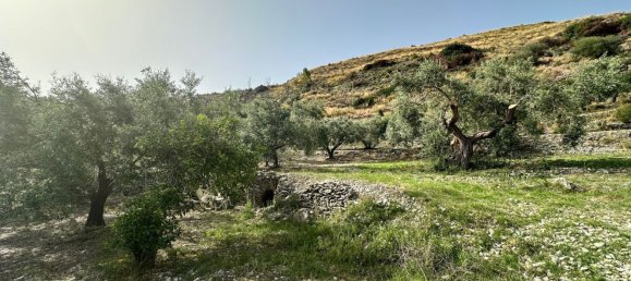  قطعة أرض في Castelmola, Italy 8150متر مربع رقم 73191 17