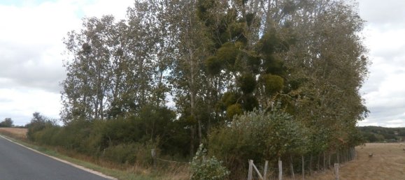  قطعة أرض في Saint-Georges-sur-la-Pree, France 2370متر مربع رقم 93417 4