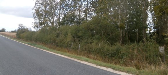  قطعة أرض في Saint-Georges-sur-la-Pree, France 2370متر مربع رقم 93417 3