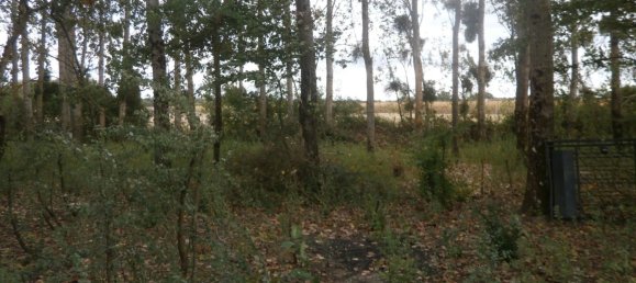  قطعة أرض في Saint-Georges-sur-la-Pree, France 2370متر مربع رقم 93417 2