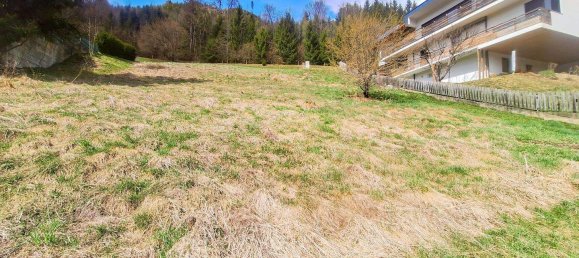  Land in Murau, Austria No. 163447 5