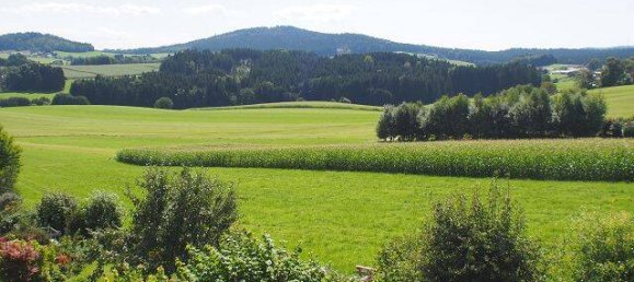 7-Zimmer Haus in Regen, Germany, Nr. 369550 9