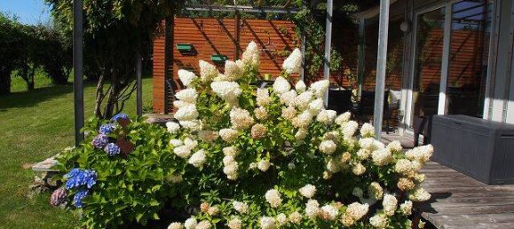 7-Zimmer Haus in Regen, Germany, Nr. 369550 6