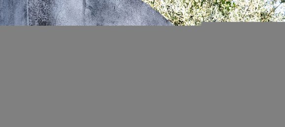 2 Schlafzimmer Haus in Torres do Mondego, Portugal, Nr. 37074 13