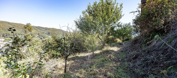 2 Schlafzimmer Haus in Torres do Mondego, Portugal, Nr. 37074 29