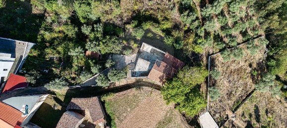 2 Schlafzimmer Haus in Torres do Mondego, Portugal, Nr. 37074 10