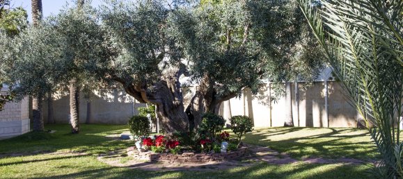 5 Schlafzimmer Villa in San Pedro del Pinatar, Spain, Nr. 10437 18