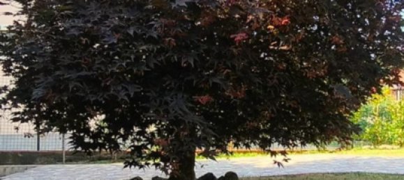 Вилла с 5 спальнями в Кунео, Италия № 328507 38