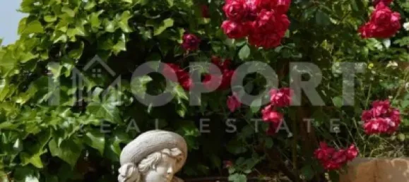 Castelos T8 em Silves, Portugal N.º 127486 32